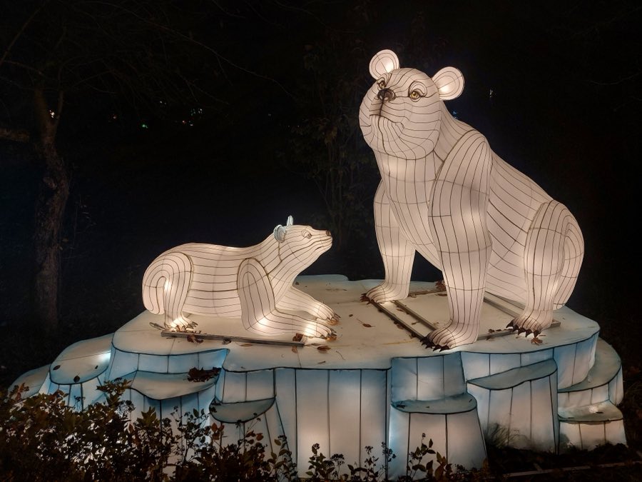 Świecące niedźwiedzie polarne na krze